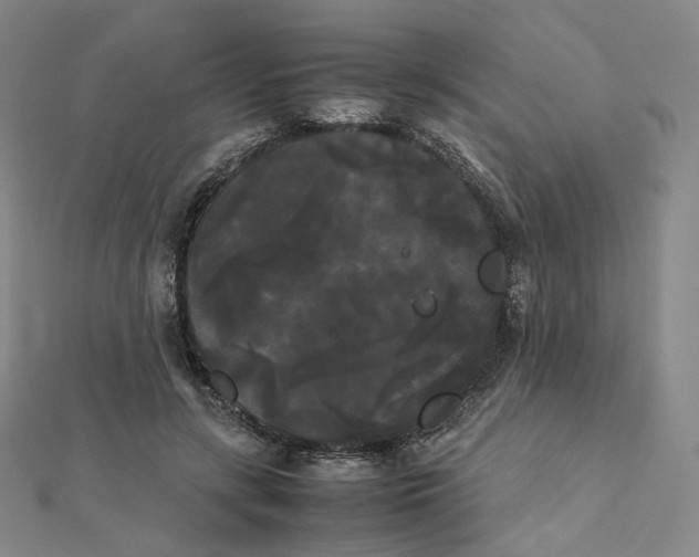X0000112070547200909011025