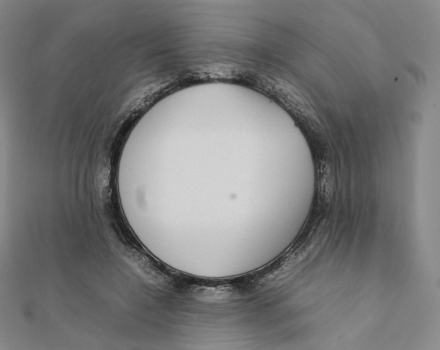 X0000112070548200909011025