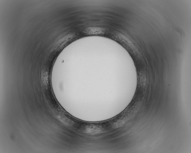 X0000112070549200909011025