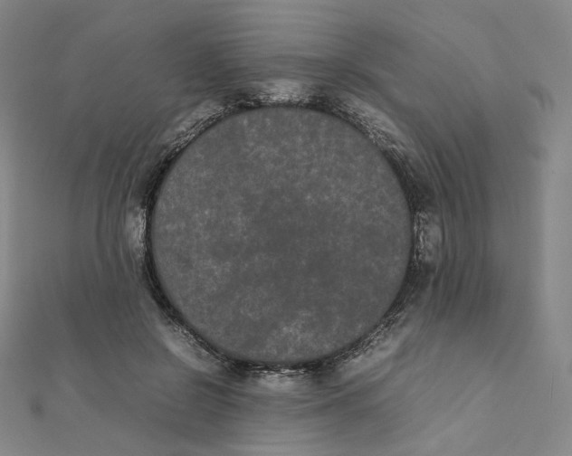 X0000112070550200909011025