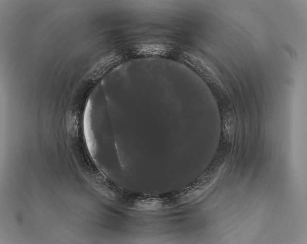 X0000112070551200909011025