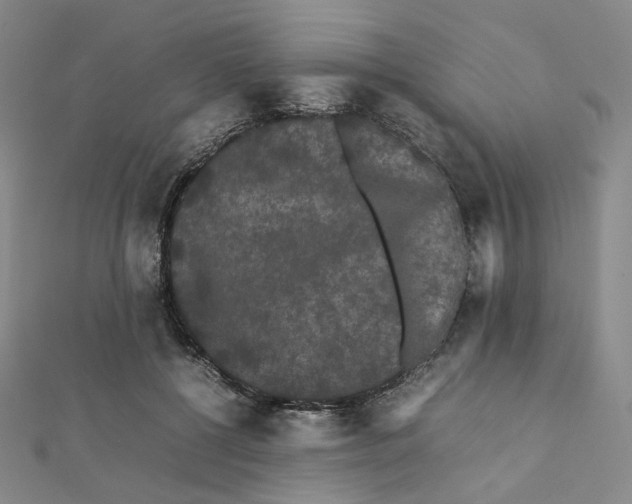 X0000112070552200909011025