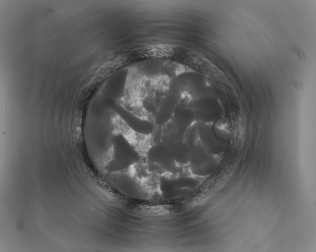 X0000112070553200909011025