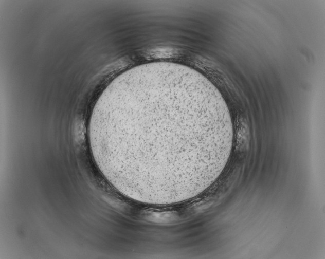 X0000112070555200909011025