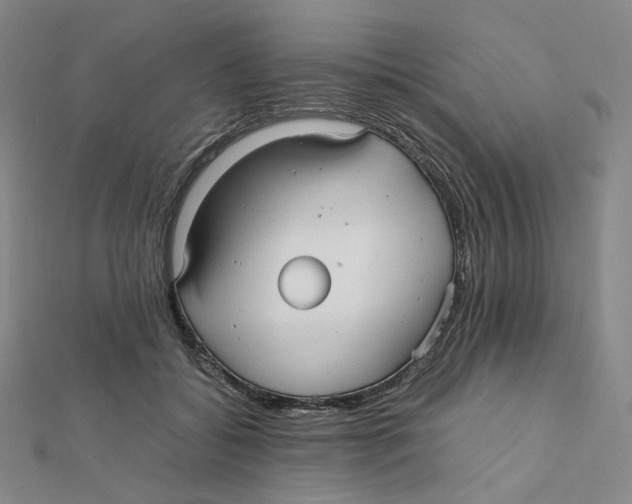 X0000112070556200909011025
