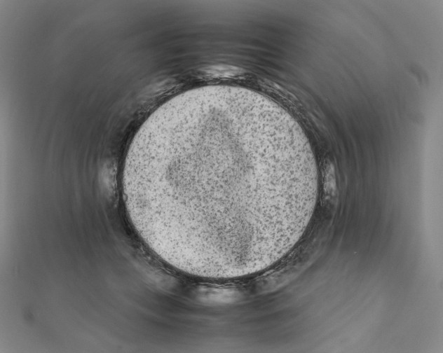 X0000112070559200909011025