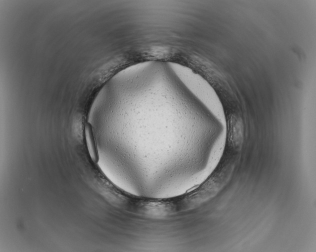 X0000112070562200909011025