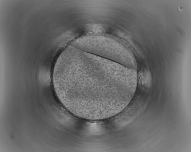 X0000112070564200909011025