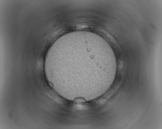 X0000112070565200909011025