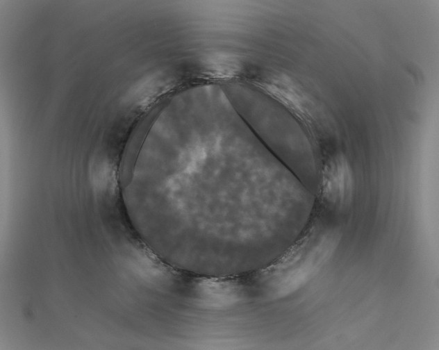 X0000112070568200909011025