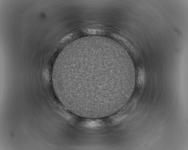 X0000112070569200909011025