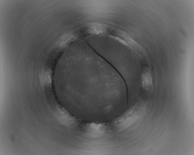 X0000112070570200909011025