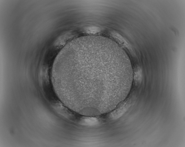 X0000112070572200909011025