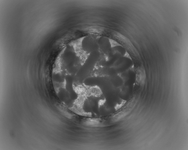 X0000112070573200909011025