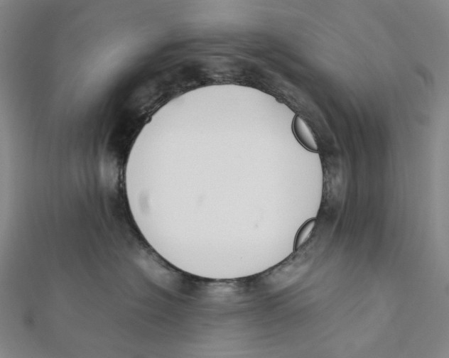 X0000112070574200909011025