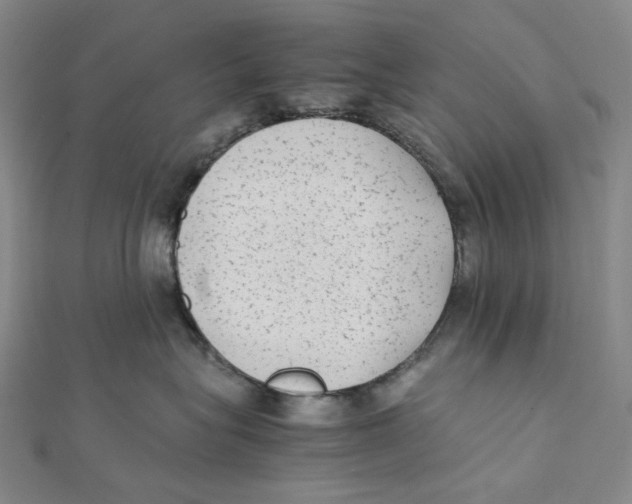 X0000112070575200909011025