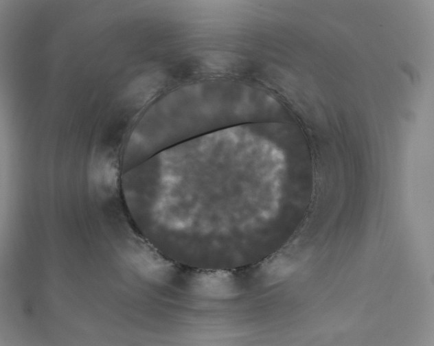 X0000112070576200909011025