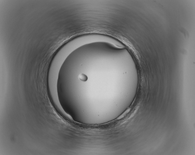 X0000112070577200909011025