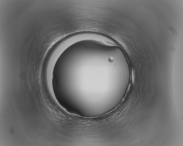 X0000112070579200909011024