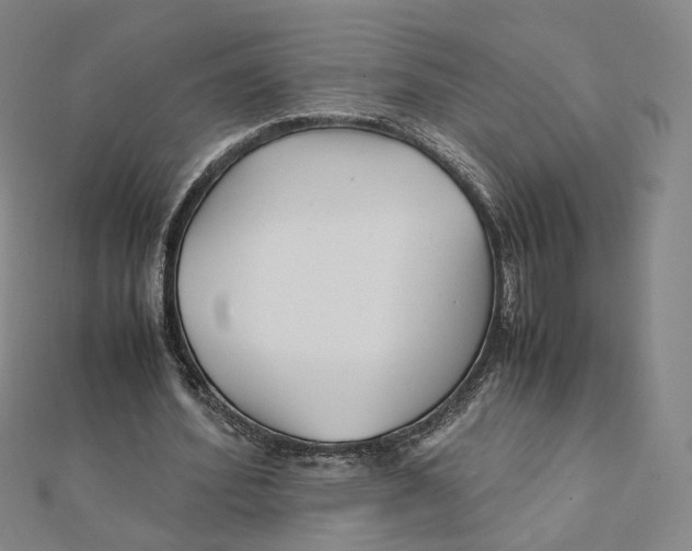 X0000112070580200909011024