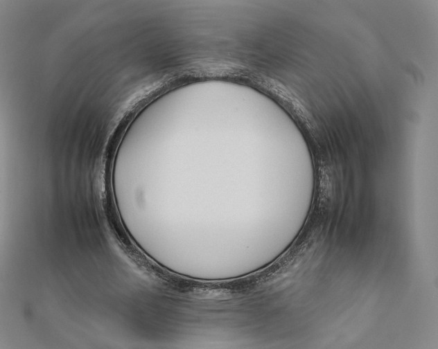 X0000112070582200909011024