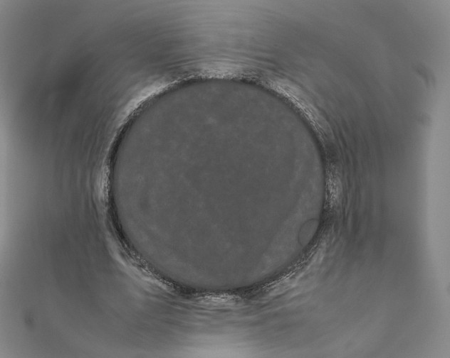 X0000112070583200909011024