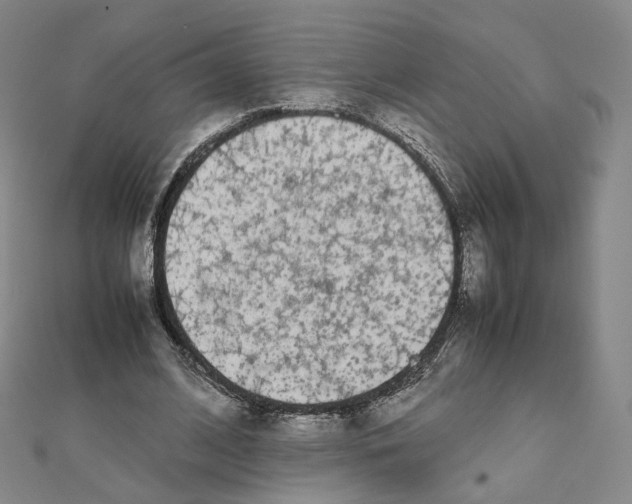 X0000112070584200909011024