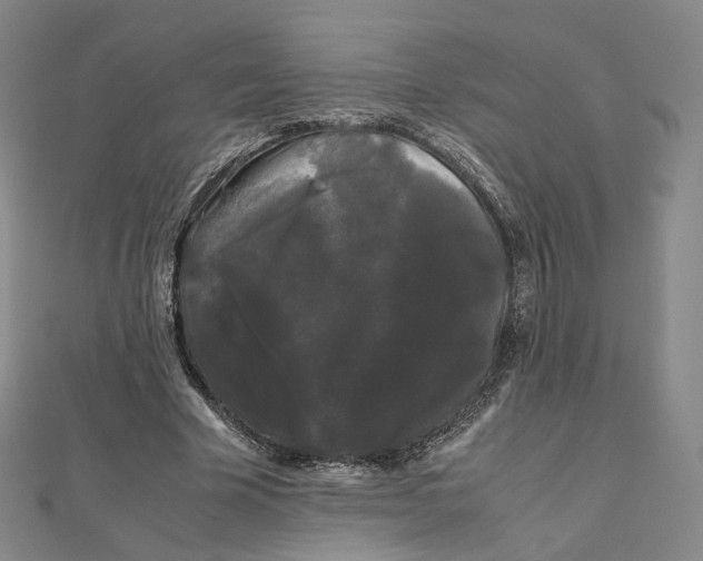 X0000112070585200909011024