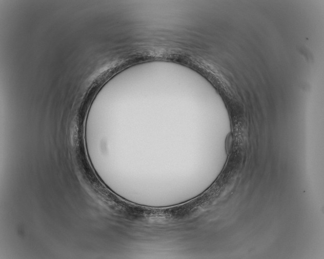 X0000112070587200909011024