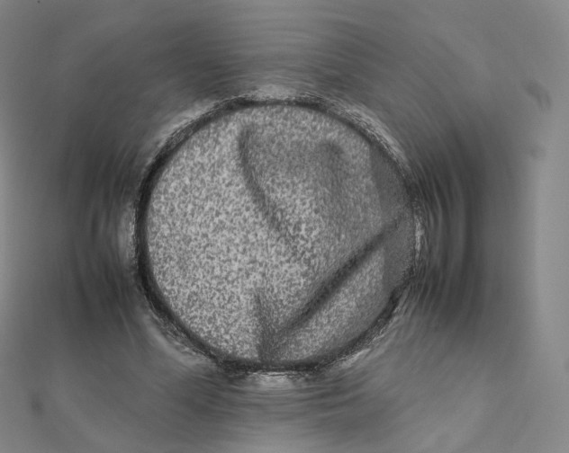 X0000112070588200909011024