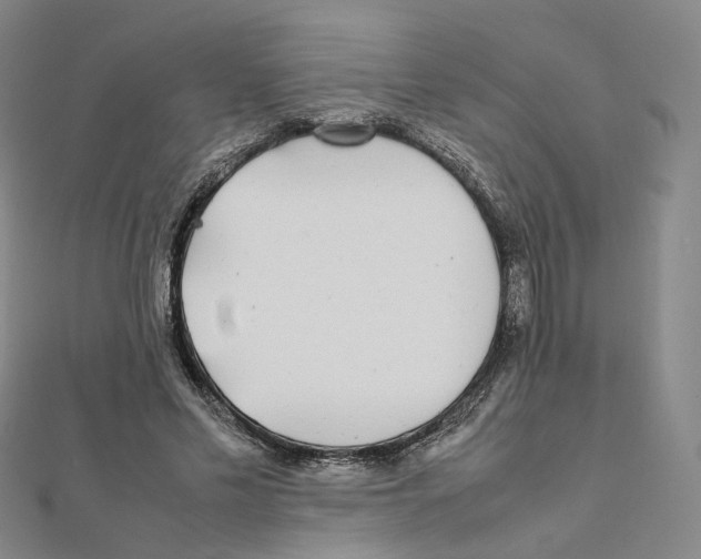 X0000112070589200909011024