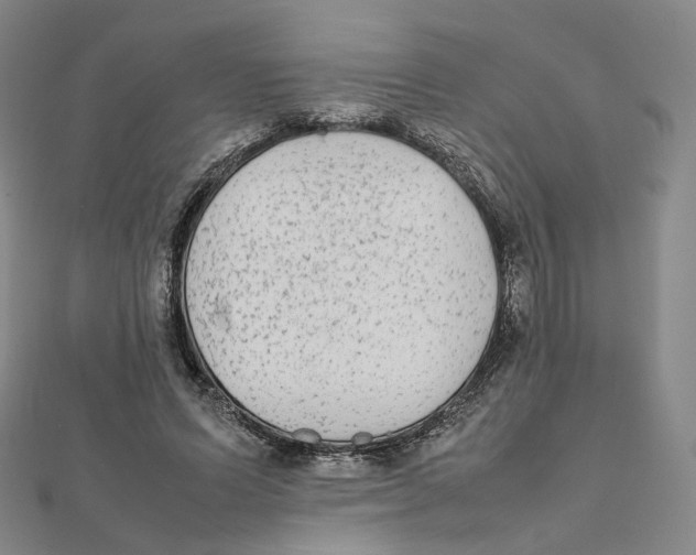 X0000112070591200909011024