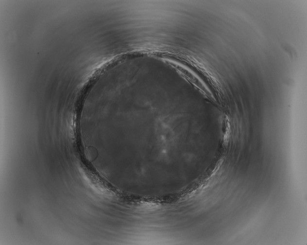 X0000112070592200909011024