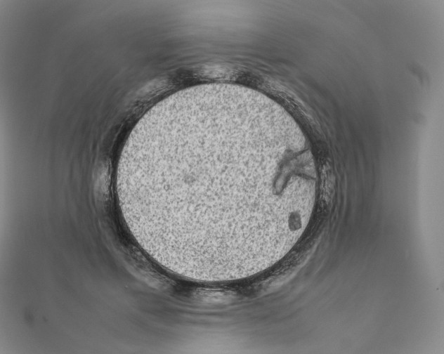 X0000112070597200909011024