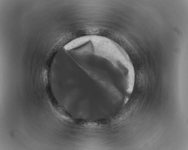 X0000112070598200909011024