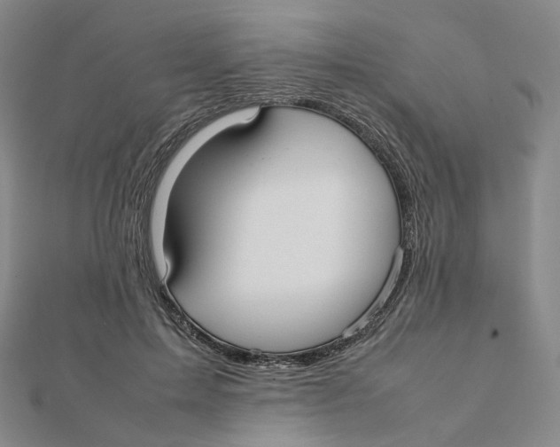 X0000112070599200909011024