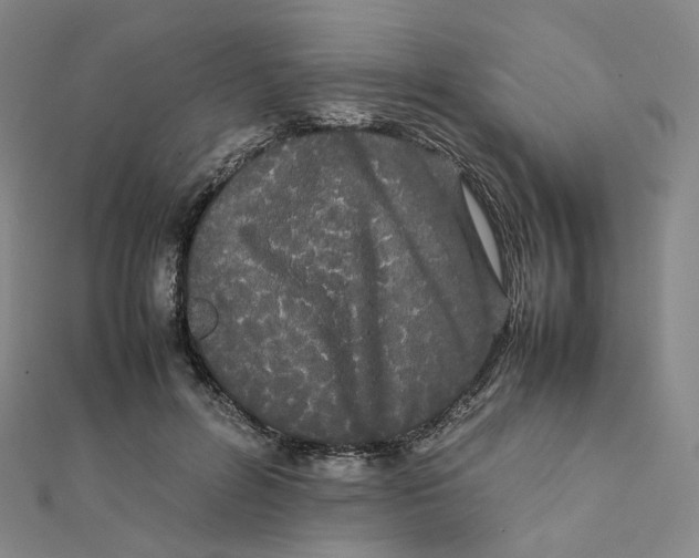 X0000112070600200909011024