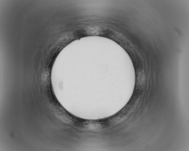 X0000112070601200909011024