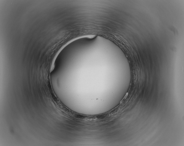 X0000112070606200909011024