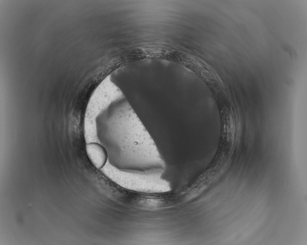 X0000112070610200909011024