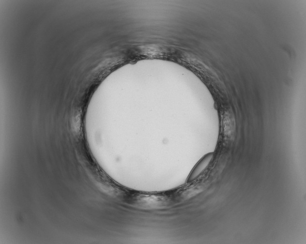 X0000112070611200909011024