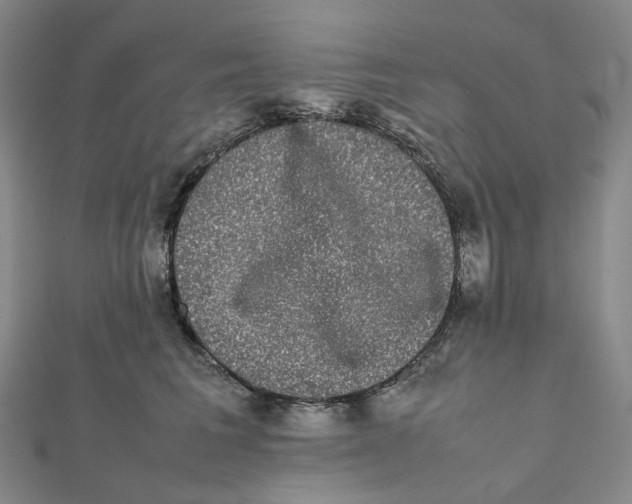 X0000112070613200909011024