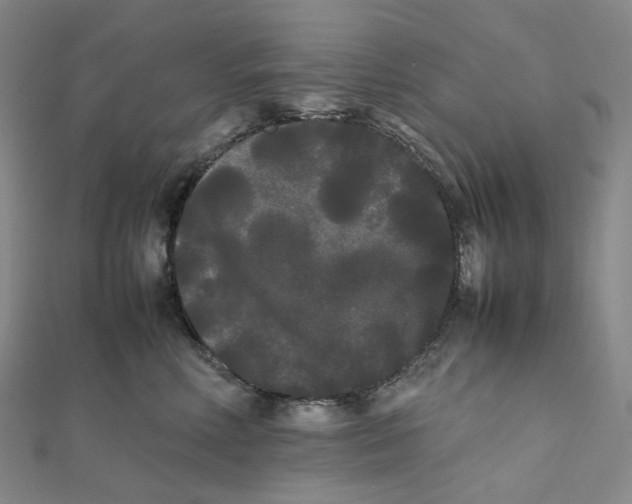 X0000112070618200909011024