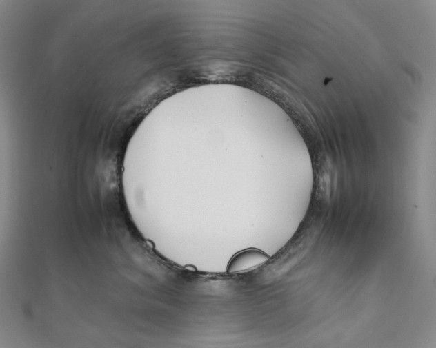 X0000112070620200909011024