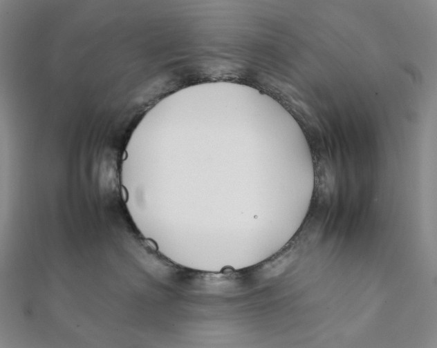 X0000112070622200909011024