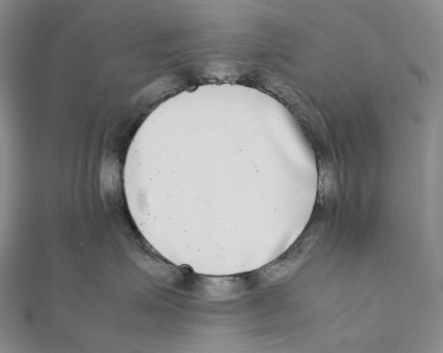 X0000112070623200909011024