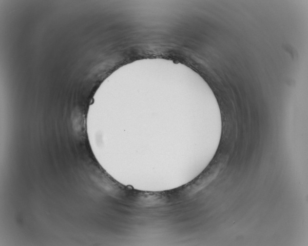 X0000112070624200909011024