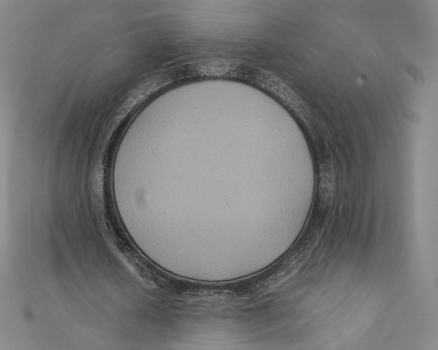 X0000112070626200909011023