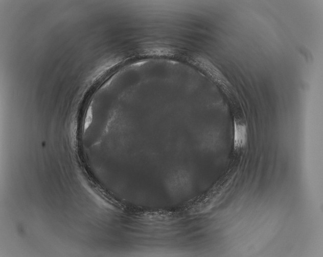 X0000112070627200909011023