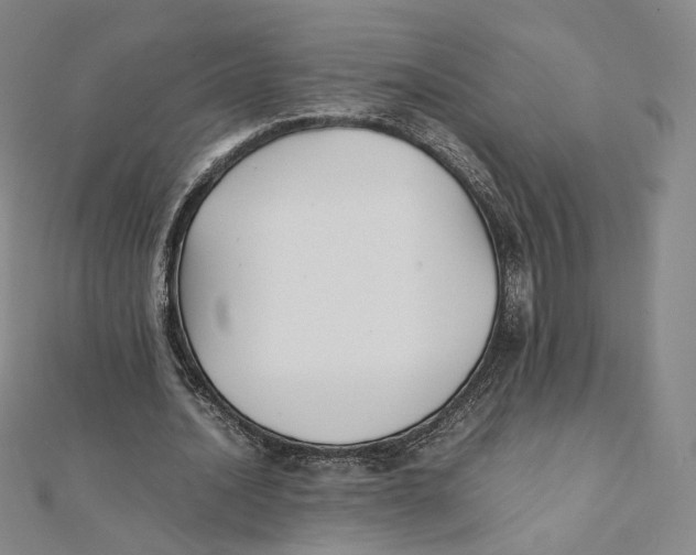 X0000112070628200909011023